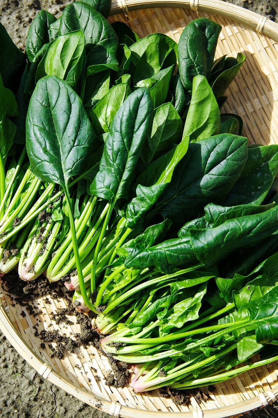 Spinach - 350g (Kōkihi)