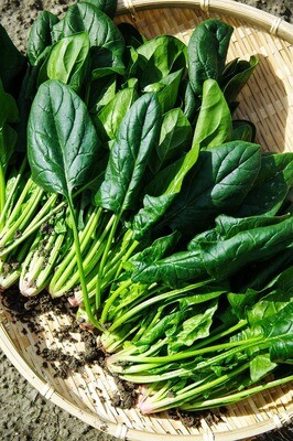 Spinach - 350g (Kōkihi)