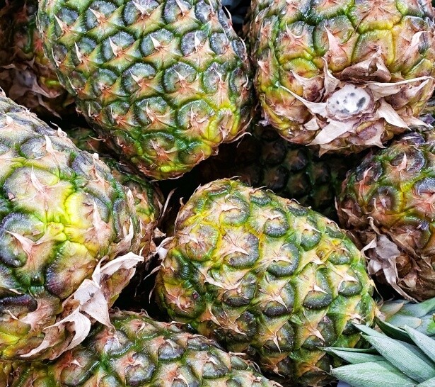 Pineapple (CR) (Paināporo)