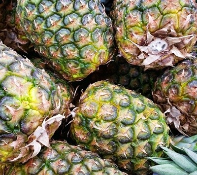 Pineapple (PH) (Paināporo)