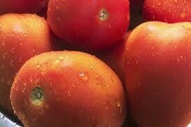Tomatoes kg ( tōmato)
