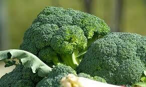 Broccoli (Puananī) unavailable due to weather