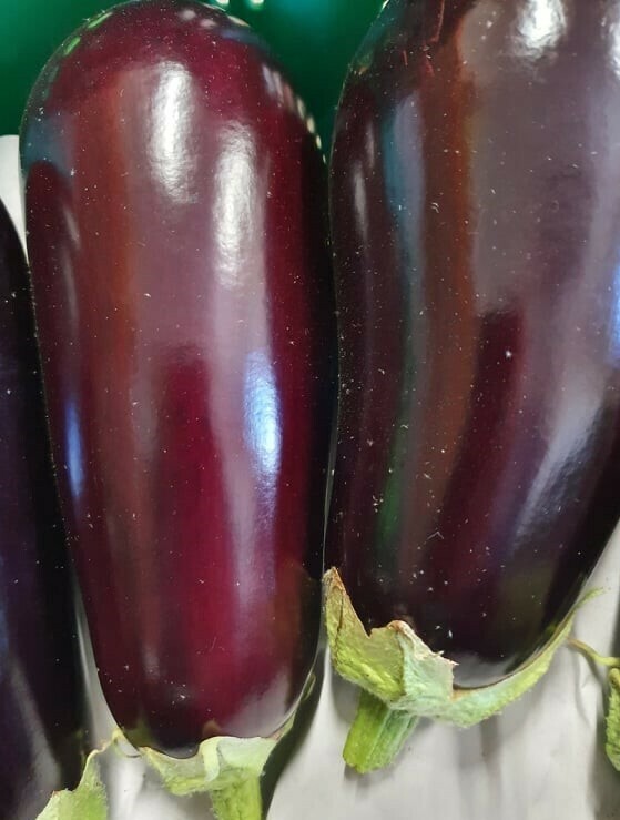 Eggplant