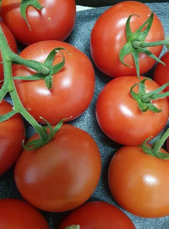 Tomatoes - Truss 500g NZ (Tōmato - taraka)