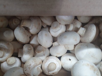 Mushrooms - White 400g Organic  (Whareatua)