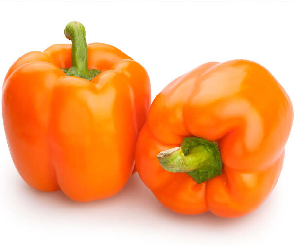 Capsicum - Orange (Rapikama - Karaka) large