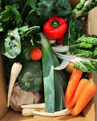 Vege Surprise! Crate Special (huawhenua ohorere pouaka motuhake)