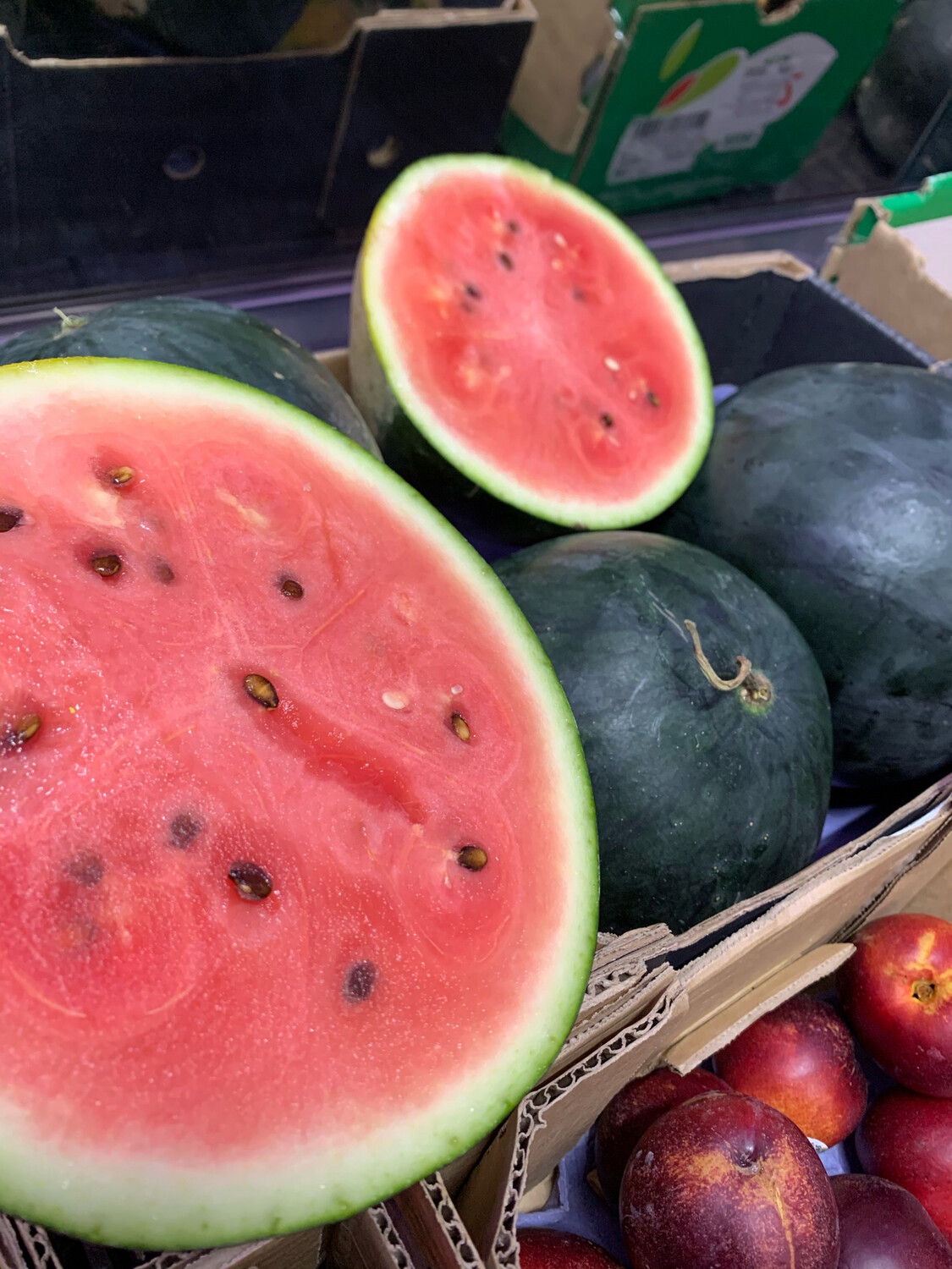 Watermelon - large  NZ local