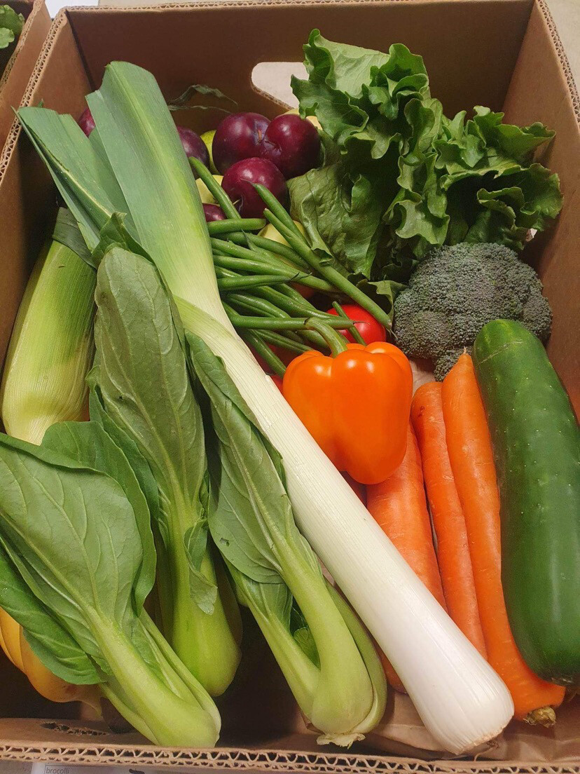 Fruit &amp; Vegetable Crate (Medium) (pouaka Hua hua me te Huawhenua waenganui)