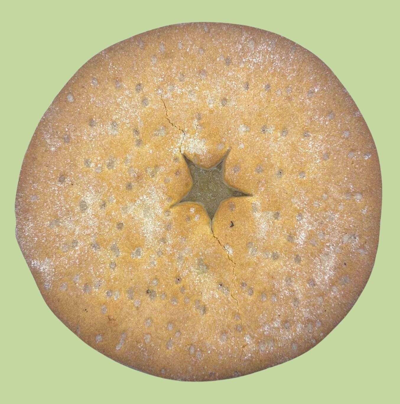 Pandoro Apple Pie 9&quot;