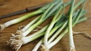 Spring Onions (riki puna)
