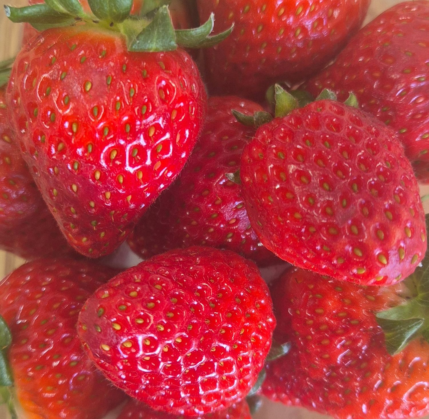 Strawberries rōpere NZ -250g Punnets