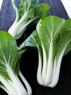 Pak Choy 