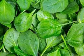 Spinach - Baby Leaf  (kōkihi - rau pēpi)