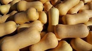 Pumpkin - Butternut NZ -  (pata pata) Medium