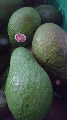 Avocado Hass (Rahopūru) NZ Large