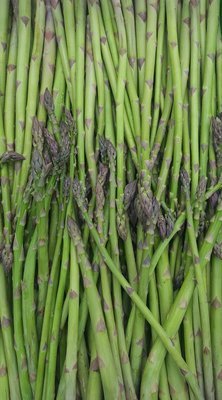 Asparagus  bunch- 250g