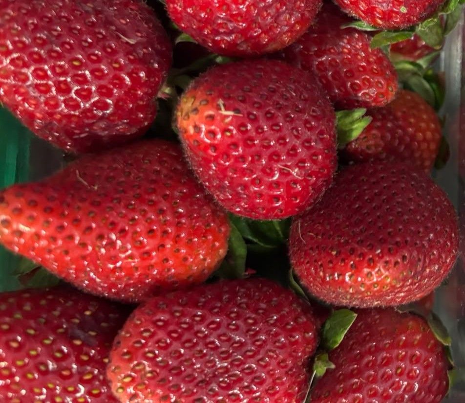 Strawberries 250g