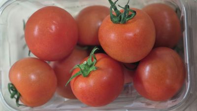 Tomatoes -Sweet sensation 500g (Tōmato - taraka)