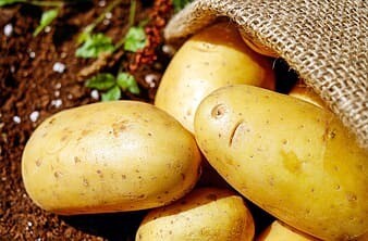 Potato  Agria 1kg  (Rīwai - ahuwhenua)