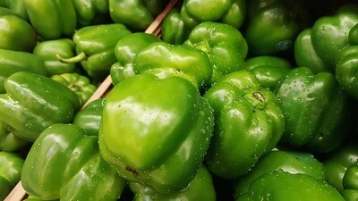 Capsicum - Green   (Rapikama - kākāriki)