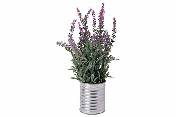 LAVENDEL IN POT LILA 15X15XH33CM