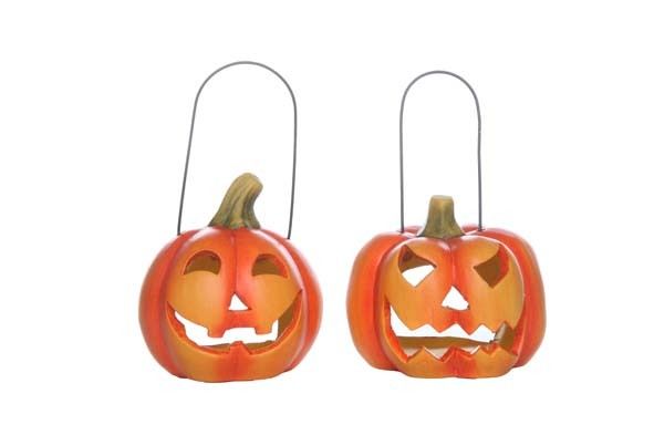 Pompoen lantaarn 2 assortiment