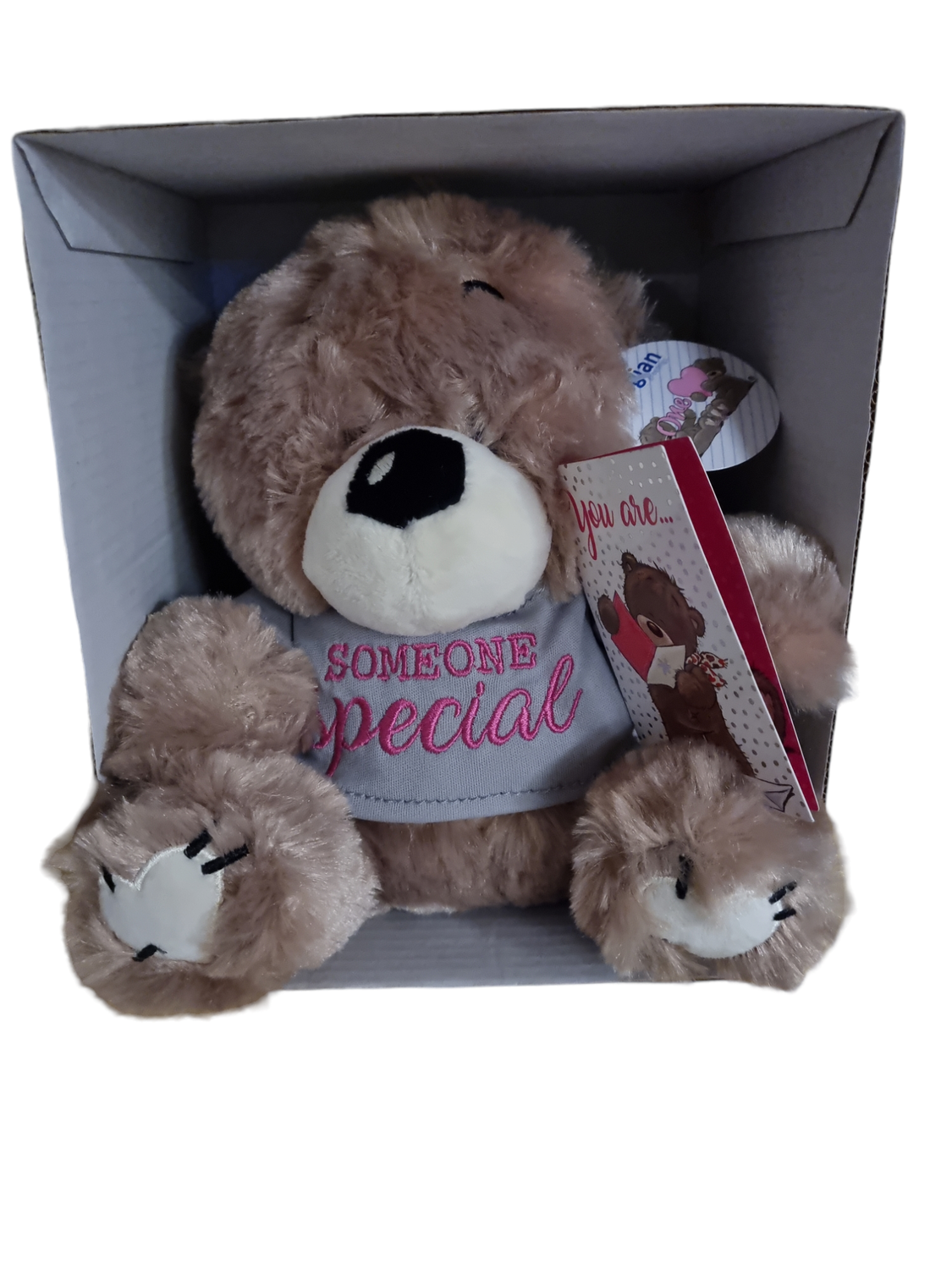 Boodschapbeertje Someone Special Boodschapbeertje Someone Special