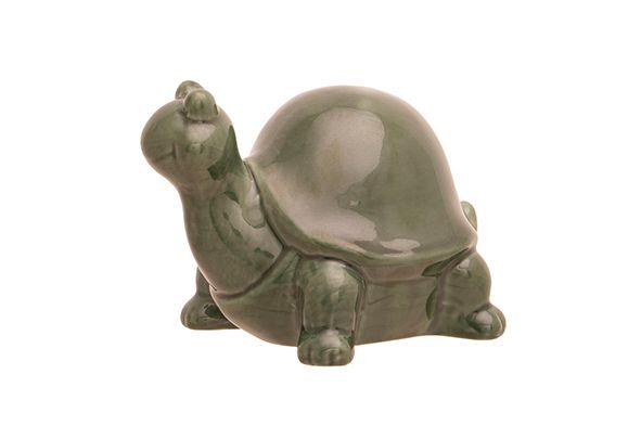 Schildpad groen