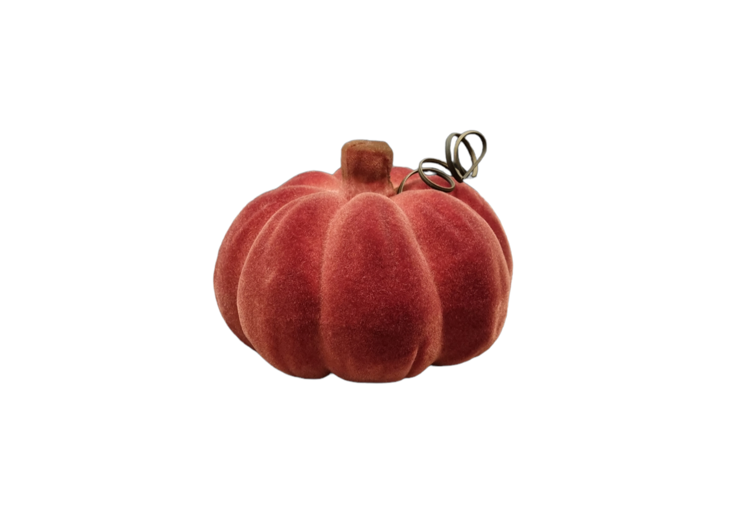 Pompoen