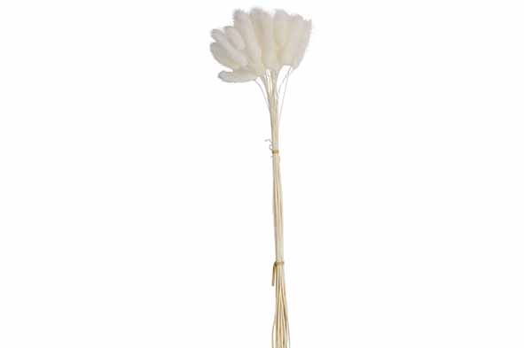 BOEKET CAT TAILS WIT 10X10XH60CM KRAFT PAPER BAG