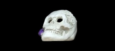 Doodskop met paarse bloem