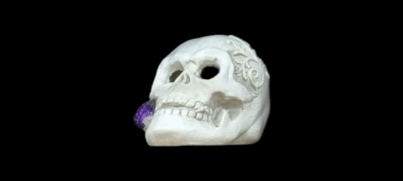 Doodskop met paarse bloem