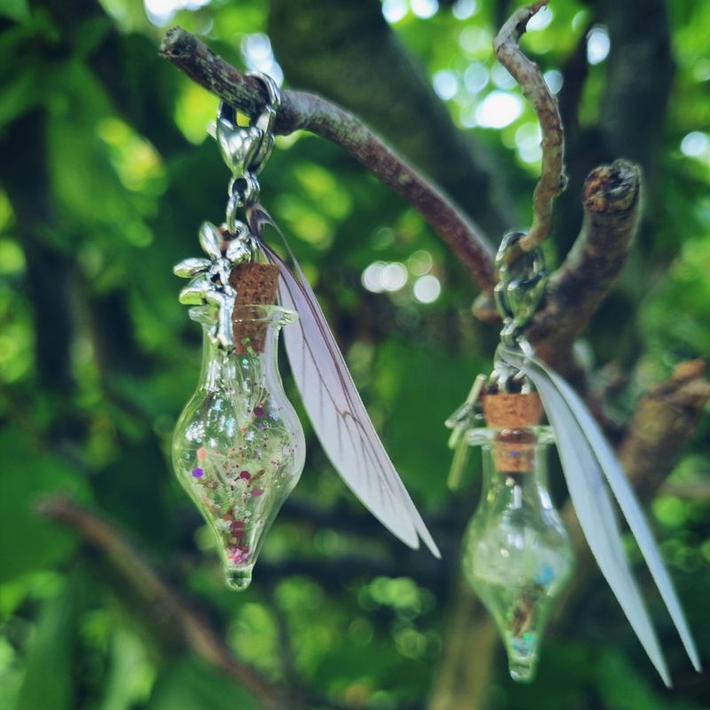 Fairy Wish