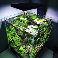 AQUARIUM LIGHTS