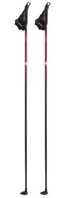 SALOMON ESCAPE SPORT XC CROSS COUNTRY / SKATING / HIKING POLE 155