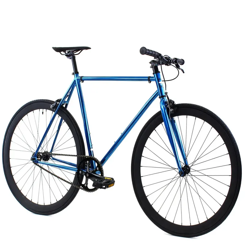 Golden Cycles - Blue Jay