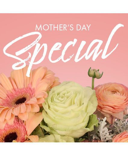 Mother's Day Designer's Choice