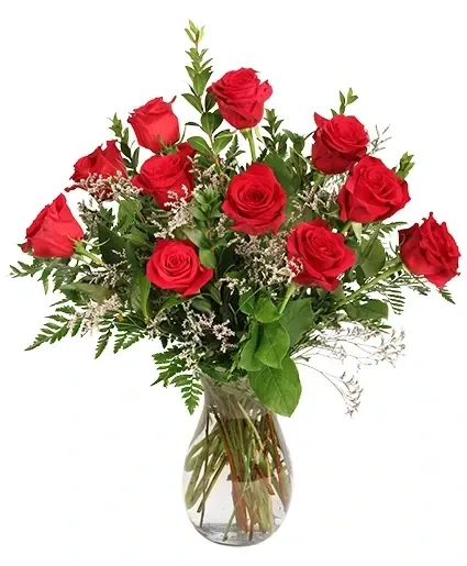 Dz Red Roses