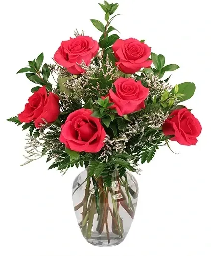 1/2 Dz Roses