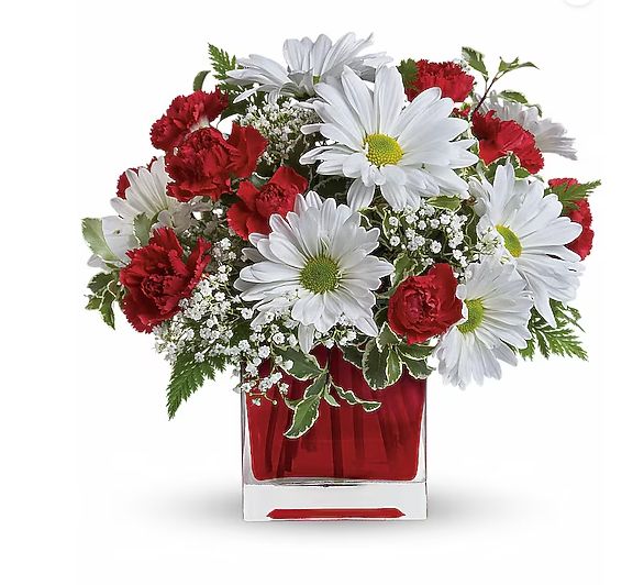 Red and White Delight