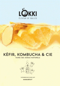 Kéfir kombucha et cie - Lokki