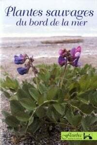 Plantes sauvages du bord de la mer - Gisèle Lamoureux