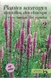 Plantes sauvages des villes et des champs, t. 02 - Gisèle Lamoureux