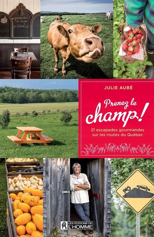 Prenez le champ ! - Julie Aubé