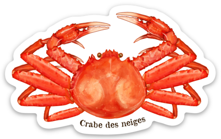 Crabe des neiges