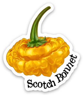 Piment Scotch Bonnet