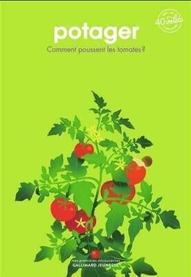 Potager : comment poussent les tomates ? - Sophie Lamoureux