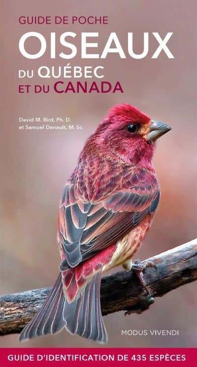 Oiseaux du Québec et du Canada : Guide de poche - David M. Bird, Samuel Denault