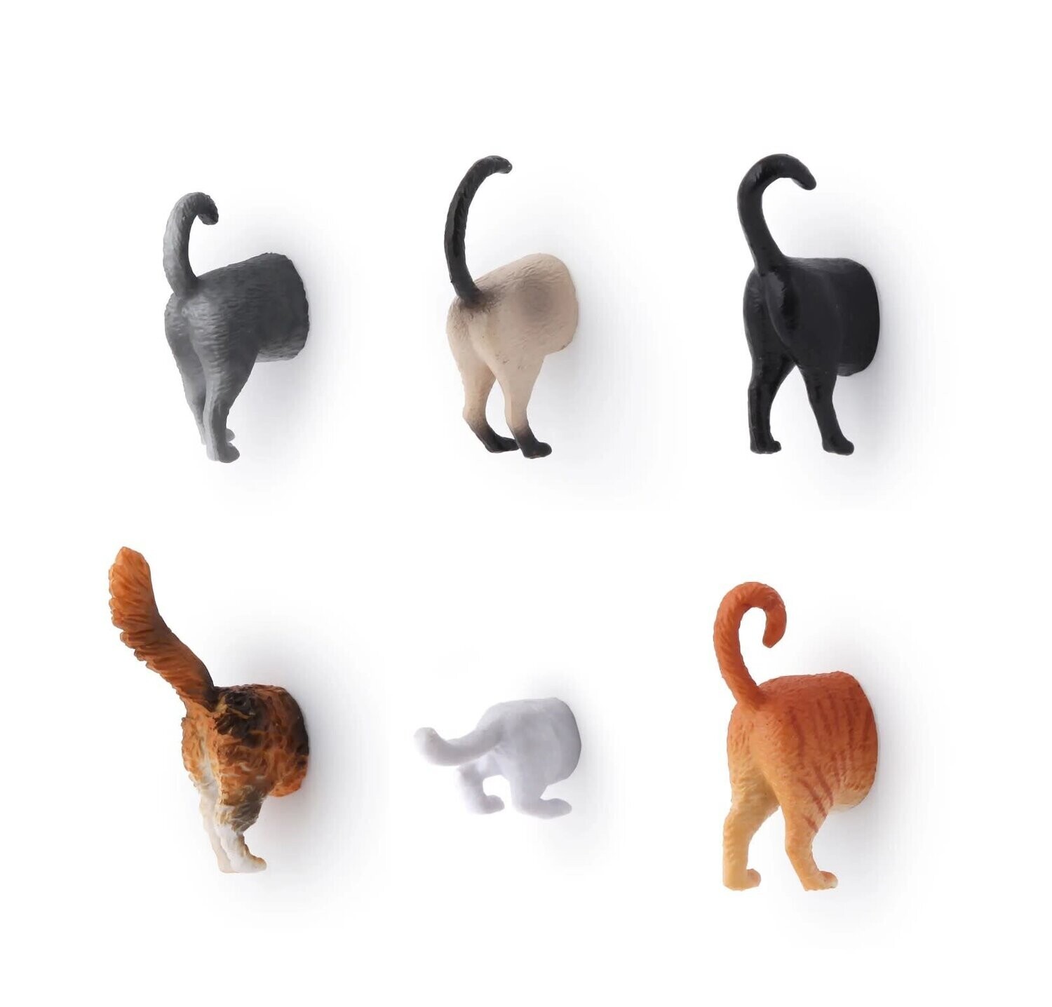 Aimant fesses de chats - Kikkerland